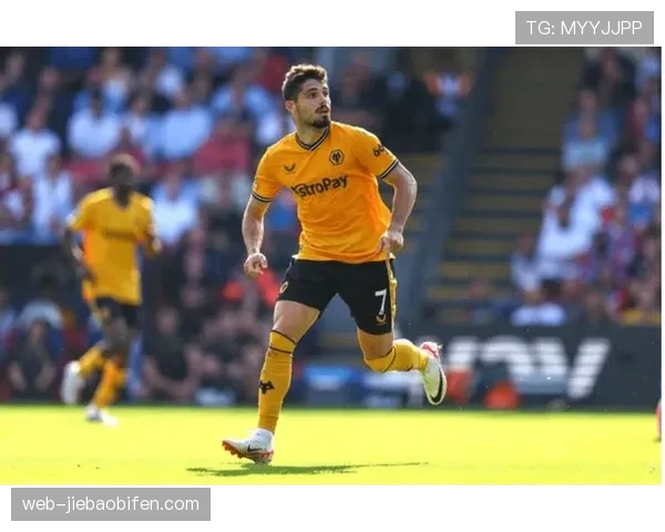 狼队官方宣布买断葡萄牙前锋内托，转会费创队史纪录